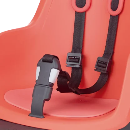 Rear bicycle safety seat, with a safety-belt of 3-points and a soft cushion.