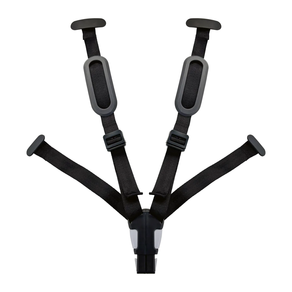 Buy product Safety Belt for Exclusive Evolve Mini
